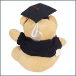 Big teddy bear toy - graduation gift
